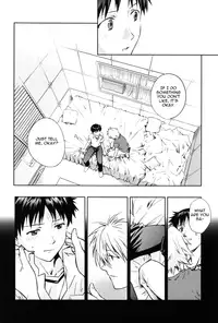 (CCTokyo123) [Cassino (Magarikoji Lily)] NO? (Neon Genesis Evangelion) [rational madness]