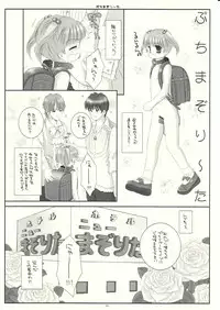 [ICE PINK] MAZOLITA Neo (C75)