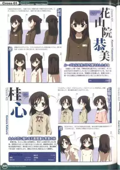 Cross Days Visual Fan Book