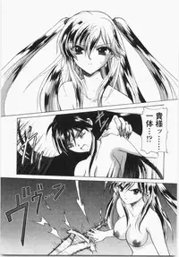 [Hirokawa Tomo] Cherry Concerto