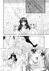 [Shimao Kazu] Flower