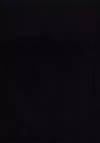 [melon books] T-Back Storys