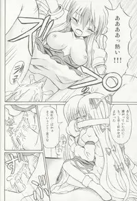 (C69) [Takakuya (Takaku Toshihiko)] Touhou Youjo Ranbu 5 (Touhou Project)