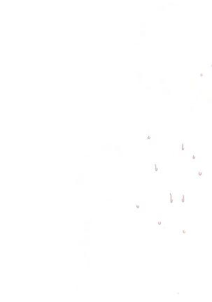 Yuuka-Chirabatta Daiyoukai no Kakera-