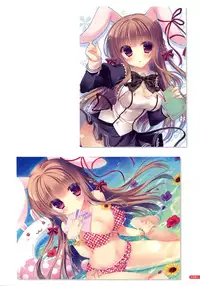 [Yukie] MOEOH Selection Flower Flower Yukie Gashuu