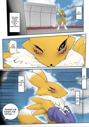 Minna no Renamon | Everyone's Renamon