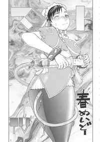 (C81) [From Japan (Aki Kyouma)] ST×TETHU (Street Fighter)