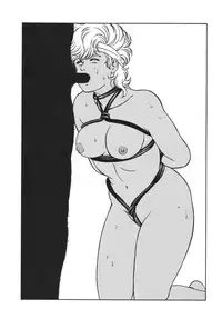 (C56) [ALPS (Ankokudou Shinkaigyo)] Anko Kudou Shinkaigyo Kaiga Senshuu (Various)