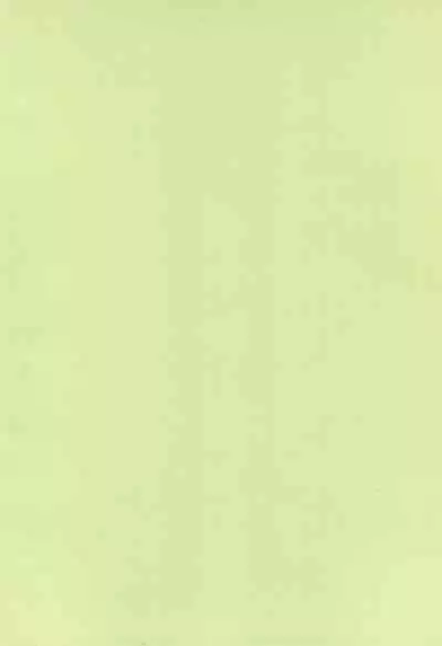 Pantsu dakara Hazukashii ni Kimatteru janai no!!