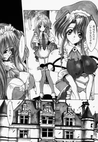 (C56) [Synthetic Garden (Miwa Yoshikazu)] Ceramic Hearts 2 The Tin Tears