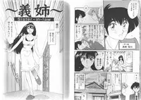 [TsuyaTsuya] Hisae-san no Haitoku Nikki - Mrs HISAE's immoral diary