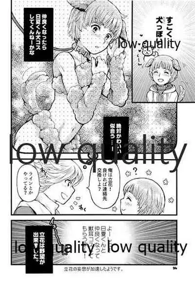 PRIZM SPECIAL REPRINT