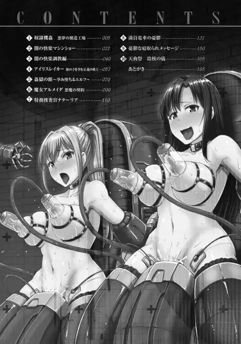 Mesu Ochi Kikan ~Mugen Ingoku de Monzetsu suru Otome-tachi~