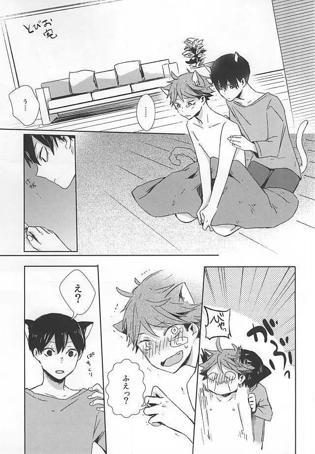 猫になった及川さん