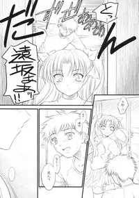 (COMIC1☆2)[[Yakan Honpo & Yakan Hikou (Inoue Tommy)] Prunus Persica 1.5 (Fate/stay night)