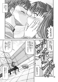 [BLUE BLOOD'S (BLUE BLOOD)] BLUE BLOOD'S vol.23 (Fate/stay night)