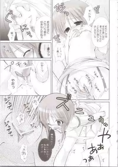 ELPEO-PLE GENERATION EVENT LIMITED EDITION