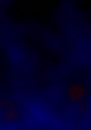 Kazoku o Shokusu to Iu koto