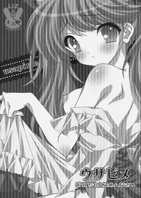 (SC49) [Liz (Satomi Hinako)] usapime -Oniichan Gomennasai-