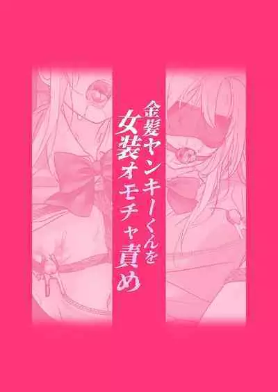 Kinpatsu Yankee-kun o Josou Omocha Seme