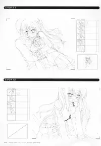 Bra-Ban Visual Fanbook