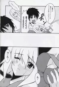 [St. Rio (Kitty, Ishikawa Ippei)] COSMIC BREED 4 (Gundam SEED DESTINY)