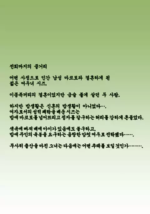 Irui Konintan Gaiden