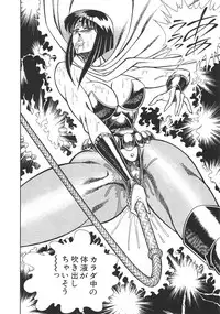 [Inui Haruka] Joousama Wars