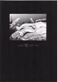 [Henrei-kai (Kawarajima Kou)] AYANAMI SUMMIT (Neon Genesis Evangelion)