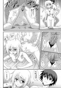 (COMIC1☆5) [CROSS-DO (Masakichi)] Infinite Sex (Infinite Stratos)