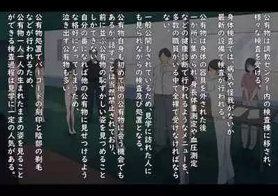 Public Property Sex Slave Girl Vol.02