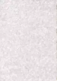 (C75) [Burning Soul (Sakayaki)] Touhou Shunga Hon - Hyousei Sounan (Touhou Project)