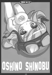 (C78) [CHILLED HOUSE (Aoi Kumiko)] BIBON Vol 5.0 (Bakemonogatari)