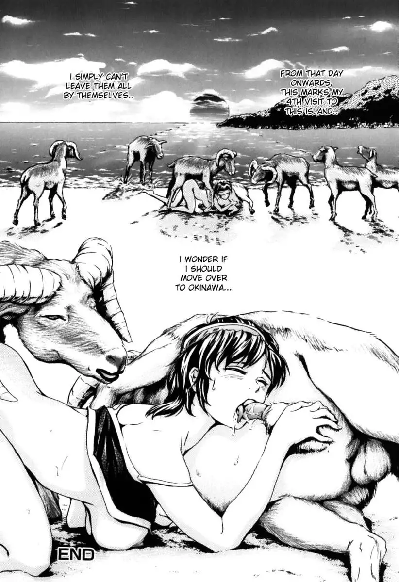 Mouflon of the South