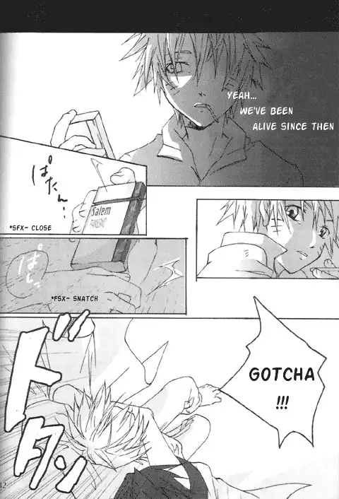 Gold Feather Silver Body