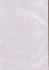 (C68) [Penguin San (Shinosaki Ariko)] CAPTIVE 3+4