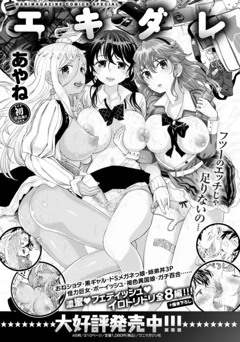 COMIC Shitsurakuten 2017-03