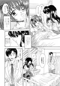 [Shimao Kazu] Flower