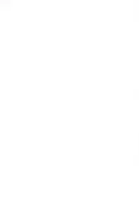 (C88) [Memeya (Meme50)] Hoshizora Ikuyo 40-sai Sai Debut (Smile PreCure!)