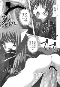 [Shikigami Azuma] Nichoume no Nekogamisama [Digital]