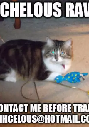 [Namida-kotsuincomplete