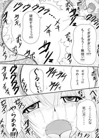 Pintsize - Itsuka Zenshin Funsha no Kuso Usagi (rescan)