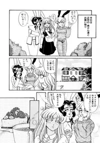 [Usagi Kei] Shiawase With you