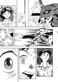 [Ayashige Dan] Jinrui Hokan Keikaku ( Evangelion, Rayearth)