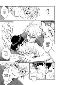 (CCTokyo123) [Cassino (Magarikoji Lily)] NO? (Neon Genesis Evangelion) [rational madness]