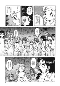 [Studio 309] Pocket Dll