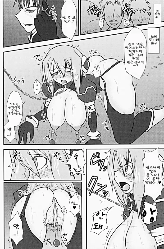 Shield Knight Elsain Vol. 9 SLAVE COLOSSEUM