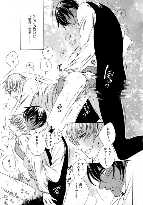 b-BOY Phoenix Vol.6 Gijinka Tokushuu