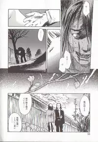 [Tenjiku Rounin] Sakurairo no Shouzou Night Gallery I