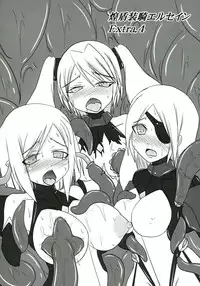 (C81) [FONETRASON (Ryutou)] Shield Knight Elsain Vol.11 "NETHER LABORATORY"